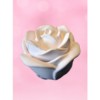 Bougie rose parfum Violette et Rose dans un contenant en forme de rose – Douceur de Grasse
