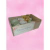 Coffret n°1