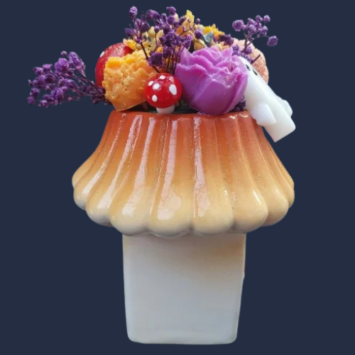 La Maison Champignon des Esprits - 1