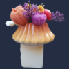La Maison Champignon des Esprits - 1