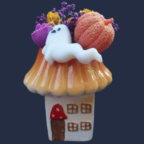 La Maison Champignon des Esprits - 1