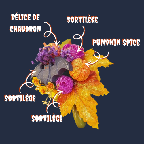 La Tasse Gnome d'Automne - 1