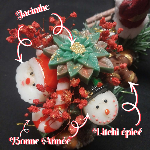 La Forêt Enchantée de Noël 1 