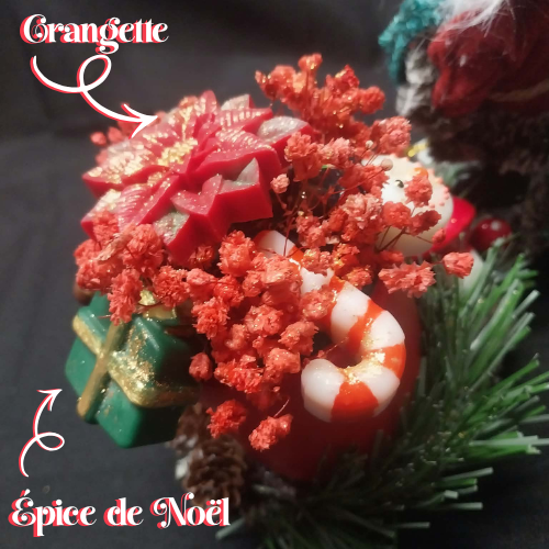 la_forêt_enchantée_de_noël_2-4 La Forêt Enchantée de Noël 2
