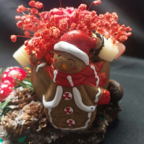 la_forêt_enchantée_de_noël_3-3 La Forêt Enchantée de Noël 3