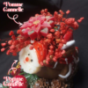la_forêt_enchantée_de_noël_3-5 La Forêt Enchantée de Noël 3