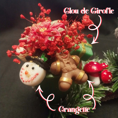 La Forêt Enchantée de Noël 4
