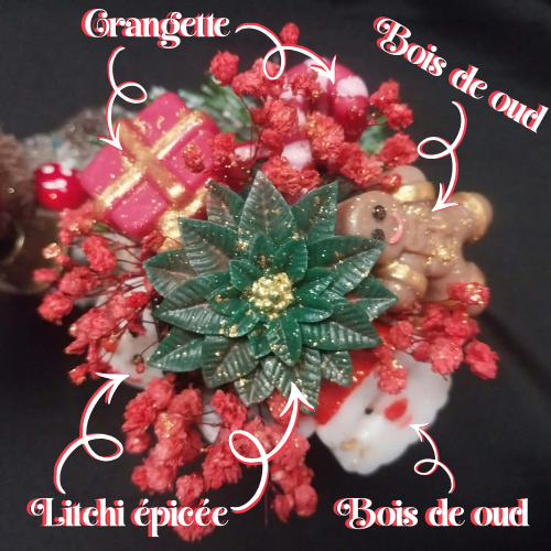 la_forêt_enchantée_de_noël_5-3 La Forêt Enchantée de Noël 5