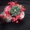 la_forêt_enchantée_de_noël_5-5 La Forêt Enchantée de Noël 5