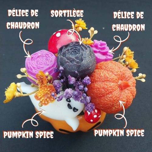 le_chaudron_des_esprits_1_vue_d_ensemble_parfum Le Chaudron des Esprits - 1