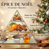pyramide_olfactive_epice_de_noel La Forêt Enchantée de Noël 2