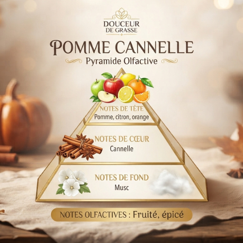pyramide_olfactive_pomme_cannelle La Forêt Enchantée de Noël 3